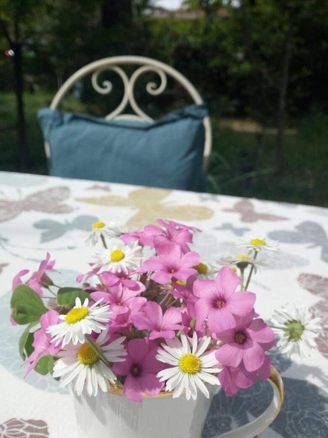 B&B Delle Arti Crema Bagian luar foto